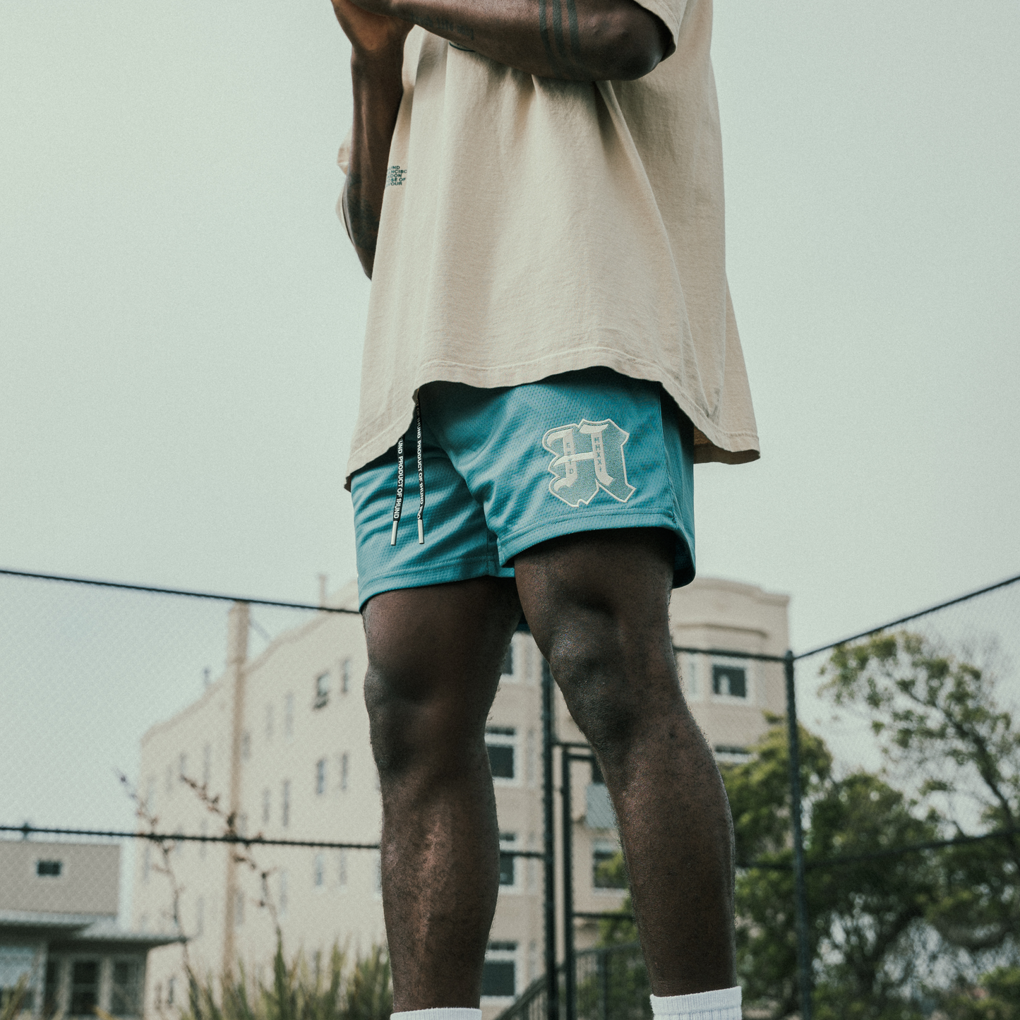Sports Club Mesh Shorts in Dark Green