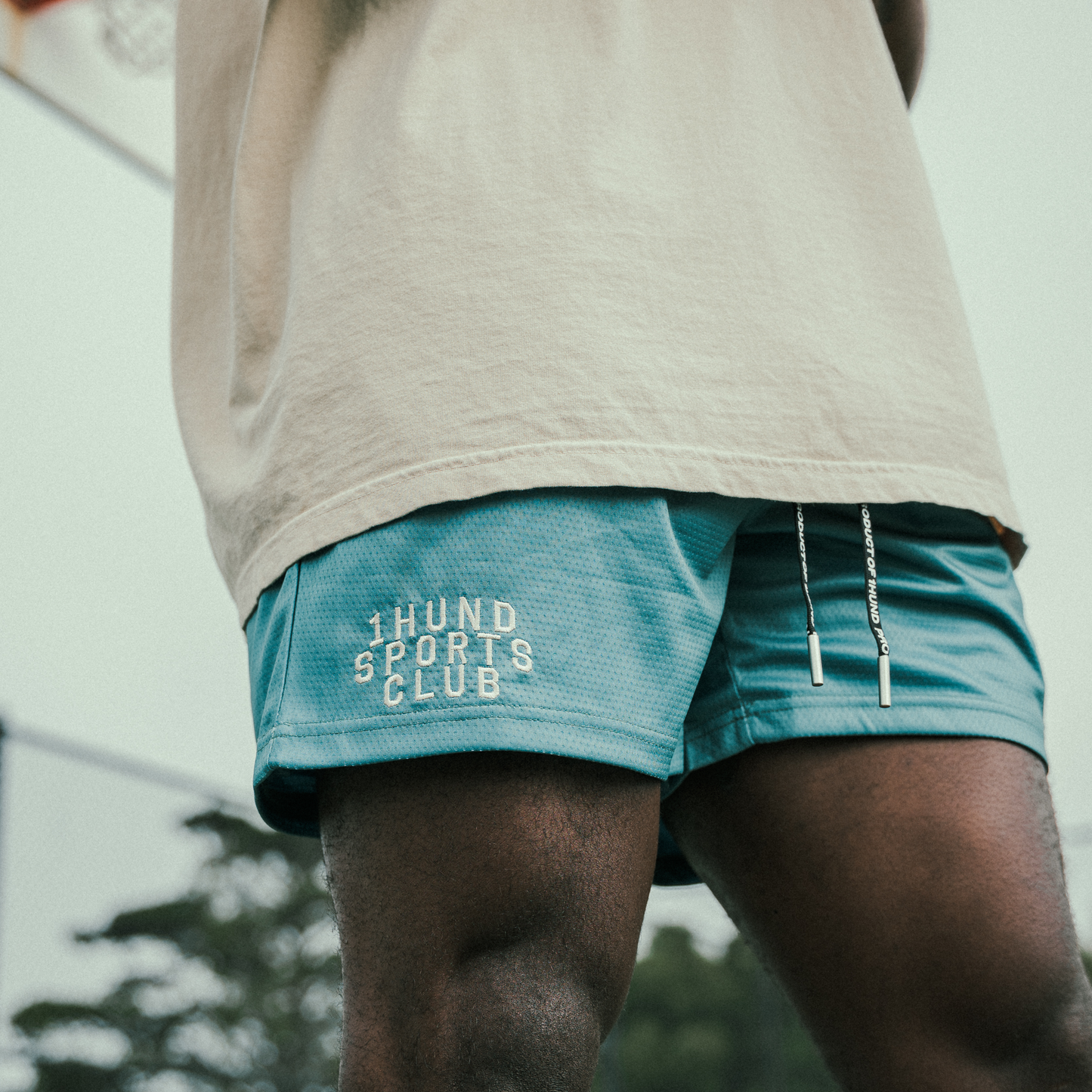 Sports Club Mesh Shorts in Dark Green