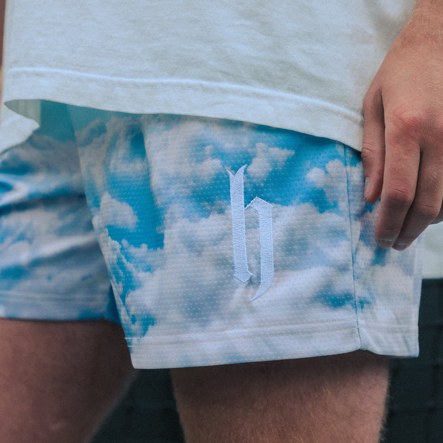 Head in the Clouds Mesh Shorts