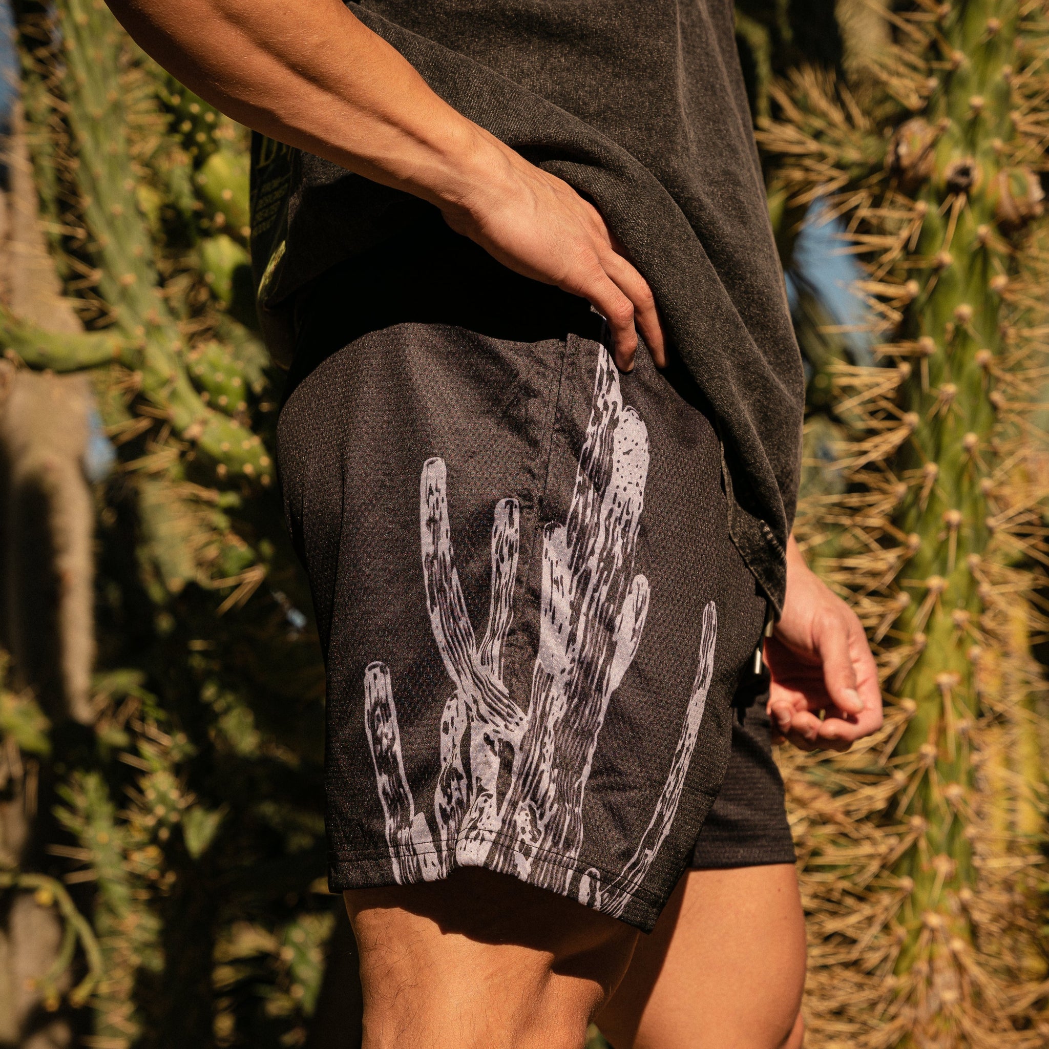 Saguaro Mesh Shorts in Black